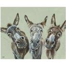 The Art Group Louise Brown (Wise Asses) 40x50cm Canvas