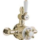 B C Designs BC Designs Victrion Twin Exposed Valve Brushed Gold