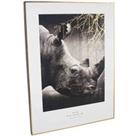 Pacific Mono Rhino Print With Gold Detail And Black Frame