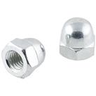 Easyfix Carbon Steel Dome Nuts M10 100 Pack (153GX)