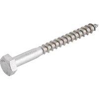 Easydrive Hex Bolt Thread Cutting Coach Screws 10mm x 100mm 10 Pack (1008T)