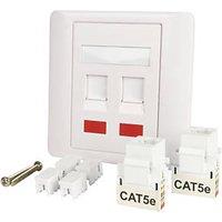 Labgear 1-Gang Double RJ45 Ethernet Socket White with Colour-Matched Inserts (144KM)