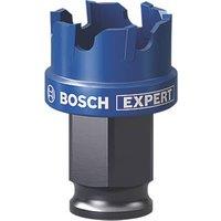 Bosch Expert Steel Holesaw 25mm (163RR)