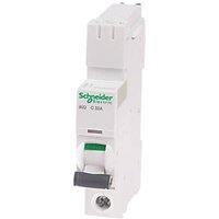 Schneider Electric IKQ 32A SP C Curve MCB (165HV)