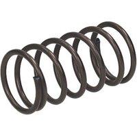 Karcher KAR 53323910 Pressure Spring (177PA)