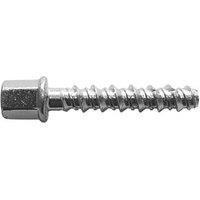 Rawlplug Internal Threaded Screwbolts M10 x 35mm 10 Pack (1884X)