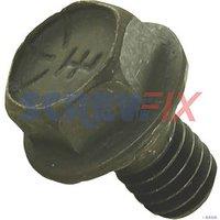 Baxi E483 INSPECTION DOOR BOLT 5/16x1/2 (196JC)