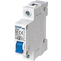 Chint EBG 40A SP B Curve MCB (2055V)