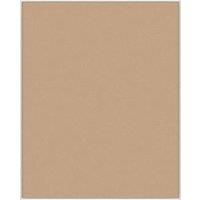 Splashback Rose Gold Self-Adhesive Glass Kitchen Splashback 900mm x 750mm x 6mm (233RX)