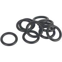 Heatline D003200756 O-Ring for Heat Exchanger (242TH)