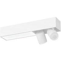 Philips Hue Centris RGB & White LED 2-Spot Ceiling Light White 42W 1560lm (244RT)