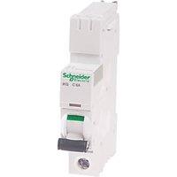 Schneider Electric IKQ 6A SP C Curve MCB (245HV)