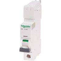 Schneider Electric IKQ 40A SP C Curve MCB (251HV)
