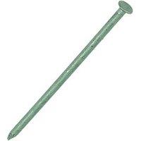 Easyfix Exterior Nails Outdoor Green Corrosion-Resistant 4.5mm x 100mm 0.25kg Pack (28808)