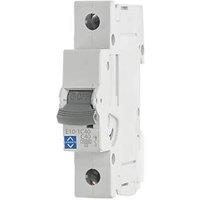 Lewden E10 40A SP C Curve MCB (293HM)
