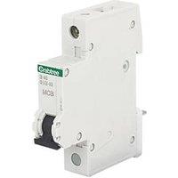 Crabtree Starbreaker 40A SP B Curve MCB (29881)