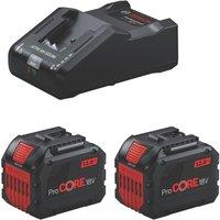 Bosch PROcore 1600A02T5X 18V 12.0Ah Li-Ion Coolpack Battery & Charger Set (307YW)