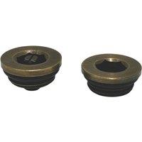 ETAL Radiator Vent & Blanking Plug Kit Antique Brass (309YU)