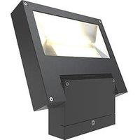 4lite Outdoor LED High Performance Projector Light Graphite 25W 1700lm (313GR)