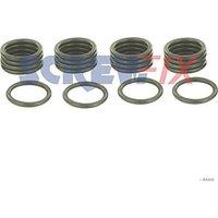 Vaillant 2000801948 O-ring 20 Pack (321GW)