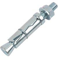 Rawlplug Projecting Shield Anchors RBP2 M10 x 90mm 25 Pack (321VA)