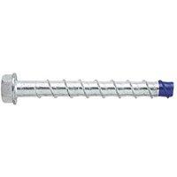 DeWalt Blue-Tip 2 Flange Thread Cutting Screwbolts 10mm x 120mm 25 Pack (323HT)