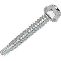 Easydrive Flange Self Drilling Screws 5.5mm x 22mm 100 Pack (40117)