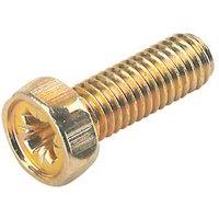 Baxi 710115301 M5 x 14 Heat Exchanger Pz Screw (411TP)