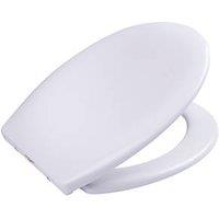 Highlife Bathrooms Duror Soft-Close with Quick-Release Toilet Seat Thermoset Plastic White (428HL)