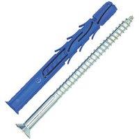 Rawlplug R-FF1 TX Frame Fixings with Countersunk Head Screws 10mm x 100mm 25 Pack (429PE)