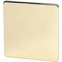 Crabtree Platinum 1-Gang Blanking Plate Polished Brass (43487)