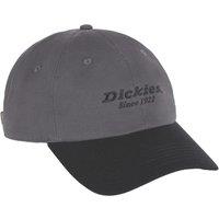 Dickies Everyday Headwear Dark Grey (439XP)