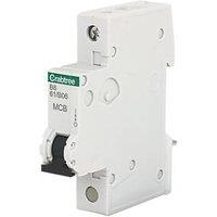 Crabtree Starbreaker 6A SP B Curve MCB (44318)