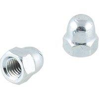 Easyfix Carbon Steel Dome Nuts M6 100 Pack (450GX)