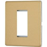 Contactum Lyric 1-Module Modular Faceplate Brushed Brass (478RP)