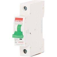 Contactum Defender 6A SP B Curve MCB (485HA)