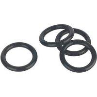 Ideal Heating 174898 Fugas D0205 PL Heat Exchanger O-Ring 4 Pack (491TG)