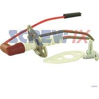 Vaillant 0010043328 GLOW-WORM ELECTRODE & SCREW & GASKET (505GW)