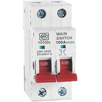 MK Sentry 100A DP Switch Disconnector (509KP)