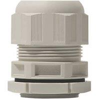British General Plastic Cable Gland Kit with KEM Adaptor 40mm Grey (5295P)