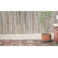 Apollo Bamboo Garden Screen 4m x 2m (5339K)