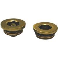 ETAL Radiator Vent & Blanking Plug Kit Brushed Brass (548YU)