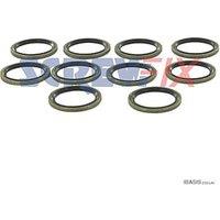 Worcester Bosch 87101031610 18.3 x 24.3 Washer 10 Pack (552TP)