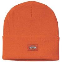 Dickies Acrylic Cuffed Beanie Headwear Orange (569YR)