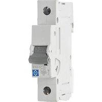 Lewden E10 25A SP C Curve MCB (576HM)