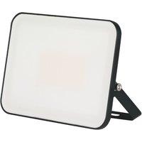 Brackenheath iSpot Frameless II Indoor & Outdoor LED Floodlight Black 50W 5500lm (599TW)