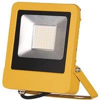 Brackenheath Rex Slim LED Floodlight 50W 5500lm 110V (606PC)