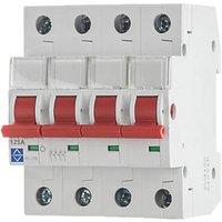 Lewden 125A 4-Pole 3-Phase Mains Switch Disconnector (613HM)