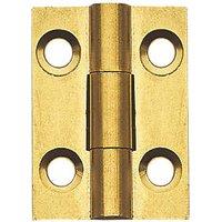 Self-Colour Solid Drawn Butt Hinges 25mm x 19mm 2 Pack (618PR)
