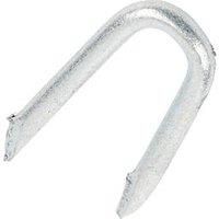 Timco Presser Point Staples Galvanised Silver 4mm x 40mm 1kg Pack (637KG)